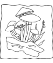 dessin 1 de champignon a imprimer