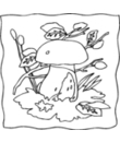 dessin 3 de champignon a imprimer