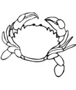 crabe rocher mer