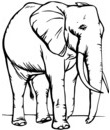 elephant a imprimer gratuitement