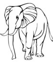 elephant image a imprimer