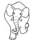 colorier dessin elephant