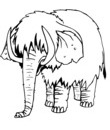 imprimer dessin elephant