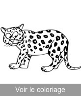 coloriage un jaguar cartoon dessin animé dessin animé