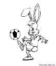 le lapin joue au football