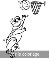 grenouille rigolote basket