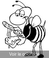 dessin insecte abeille