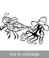 image gratuite insecte a colorier