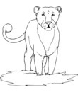 dessin lion noir et blanc a colorier