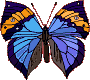 coloriage de papillons