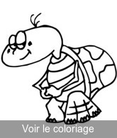colorier coloriage tortue songeuse