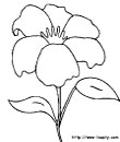 image d'fleurs