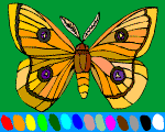 coloriage en ligne 2 papillons