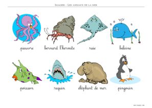 imagier animaux de la mer couleur écriture cursive
