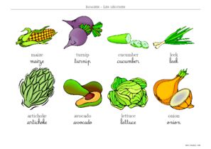 imagier legume en anglais