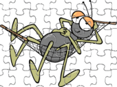puzzle d insecte